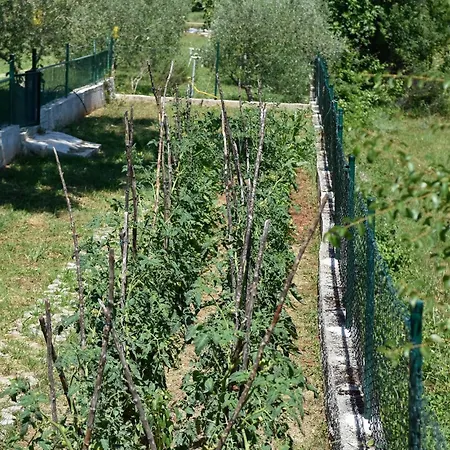 Three-bedroom In Dicmo Vakantiehuis *